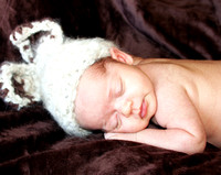 Molly's Newborn Photos