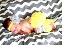 Jersey Newborn Pics Sneak Peek